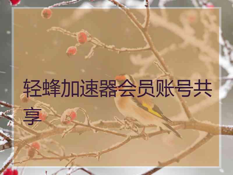 轻蜂加速器会员账号共享