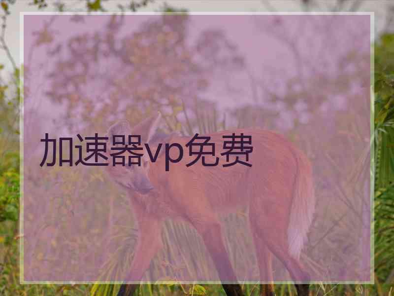 加速器vp免费
