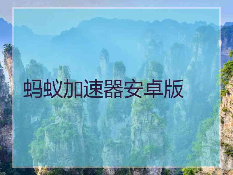 蚂蚁加速器安卓版