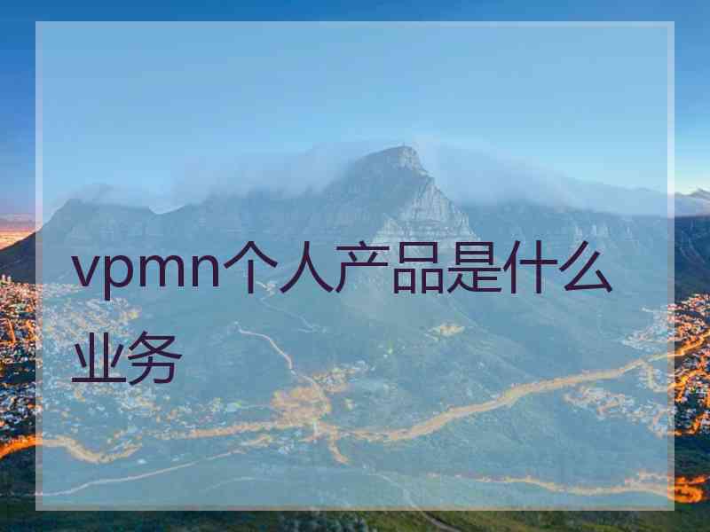 vpmn个人产品是什么业务