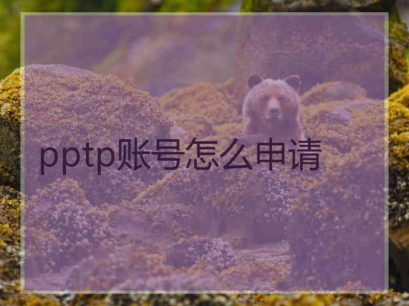 pptp账号怎么申请