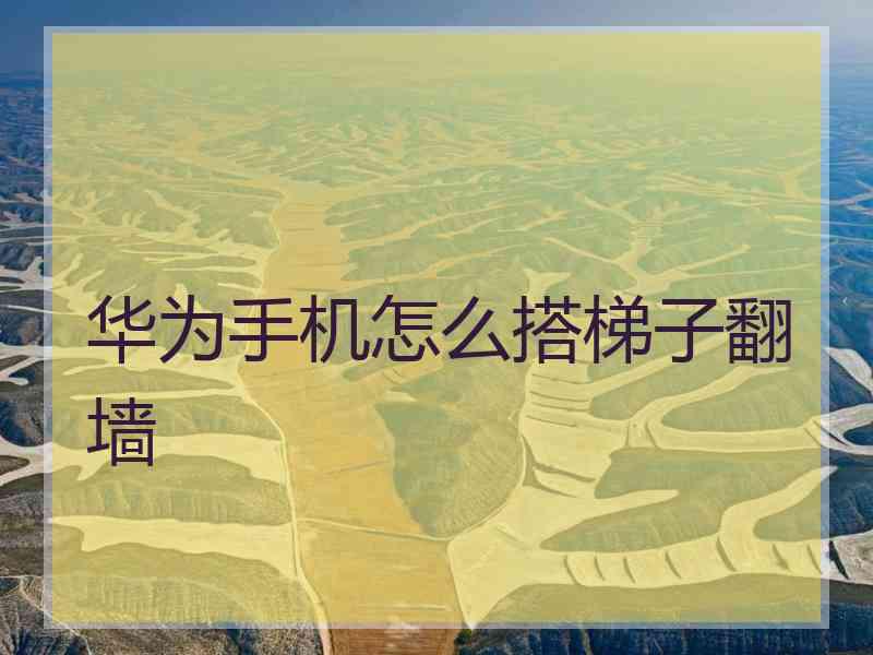 华为手机怎么搭梯子翻墙