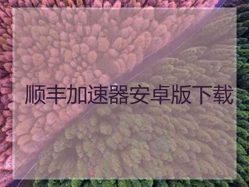 顺丰加速器安卓版下载