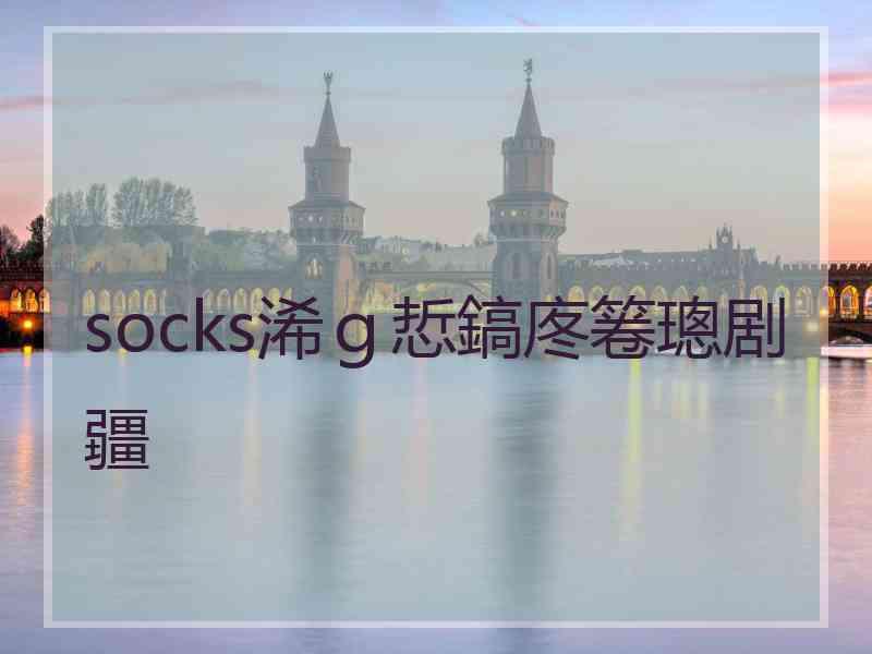 socks浠ｇ悊鎬庝箞璁剧疆