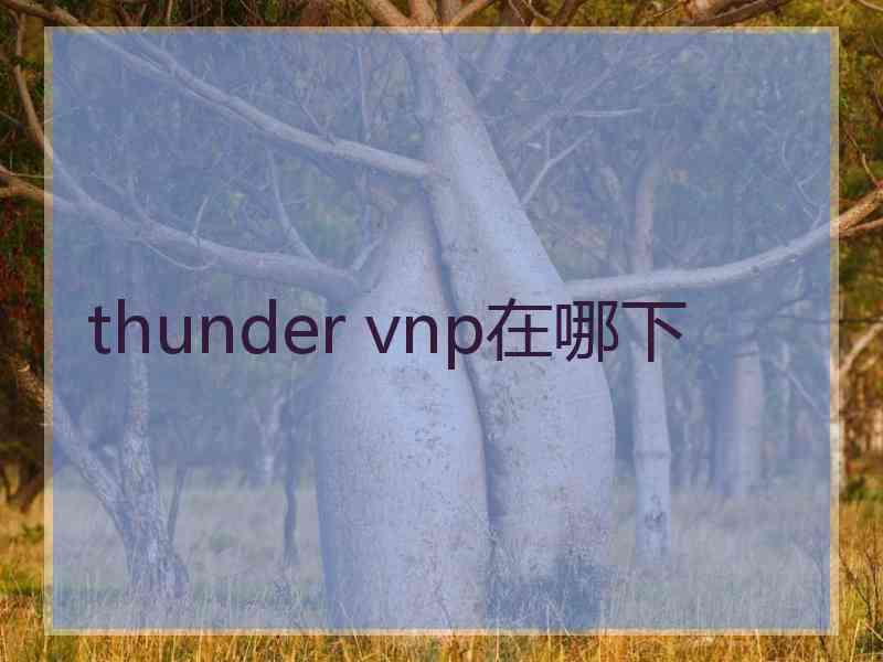 thunder vnp在哪下