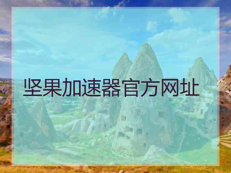 坚果加速器官方网址