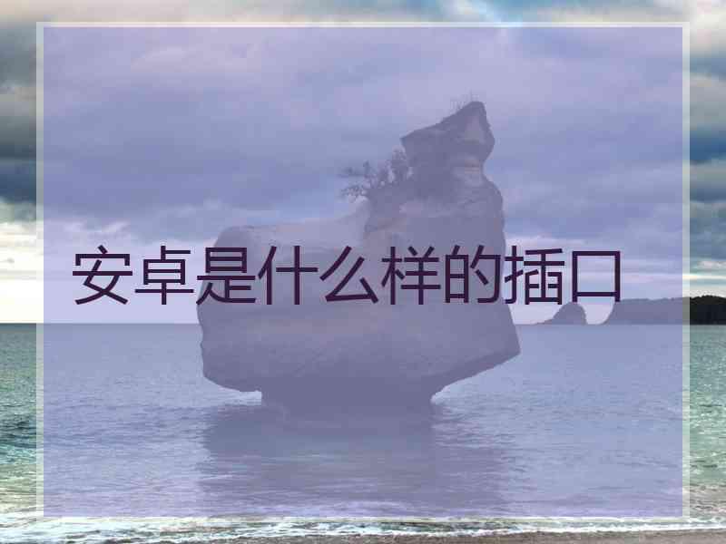 安卓是什么样的插口