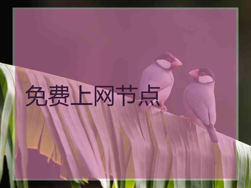 免费上网节点