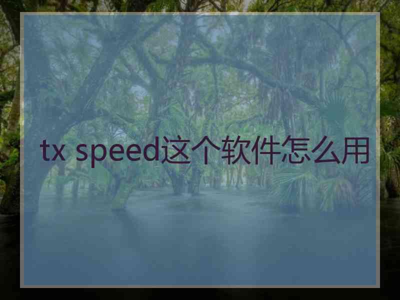 tx speed这个软件怎么用