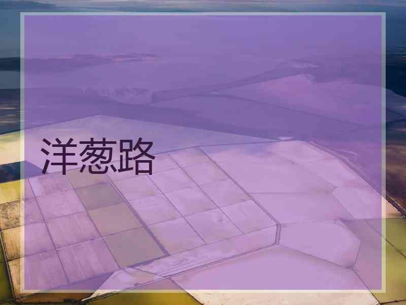 洋葱路