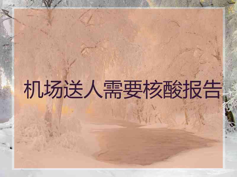 机场送人需要核酸报告