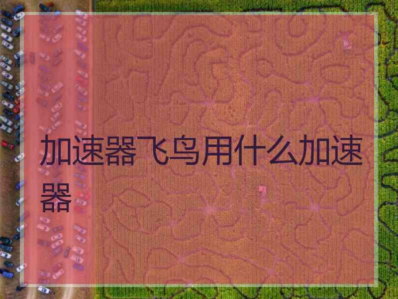 加速器飞鸟用什么加速器