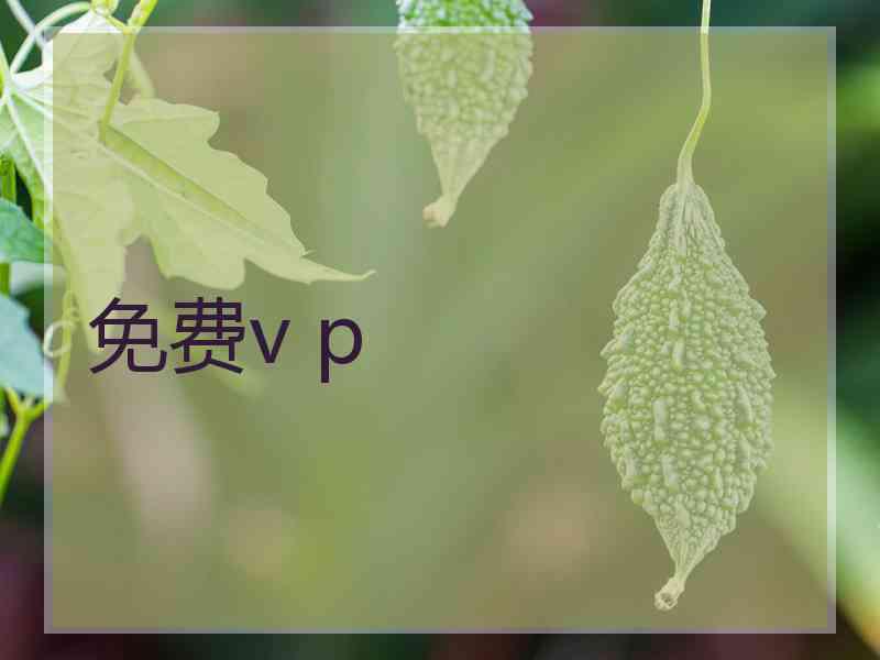 免费v p