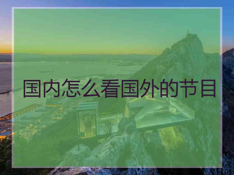 国内怎么看国外的节目