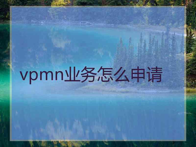 vpmn业务怎么申请