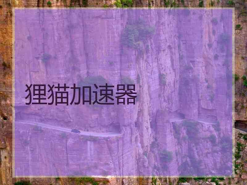 狸猫加速器