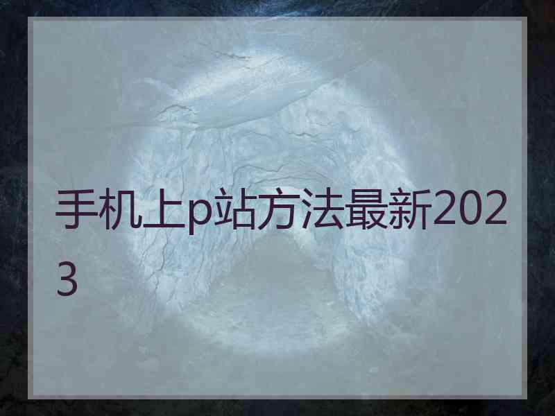 手机上p站方法最新2023