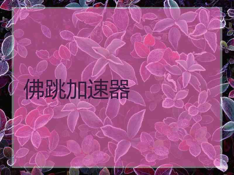 佛跳加速器