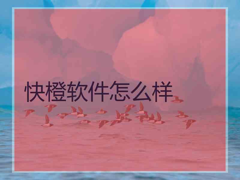 快橙软件怎么样