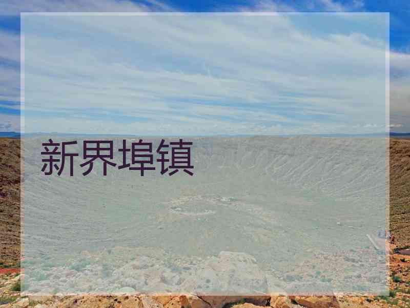 新界埠镇