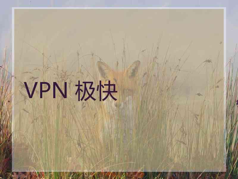 VPN 极快