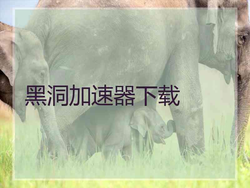 黑洞加速器下载