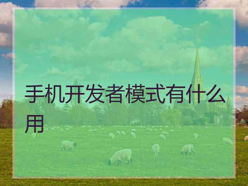 手机开发者模式有什么用