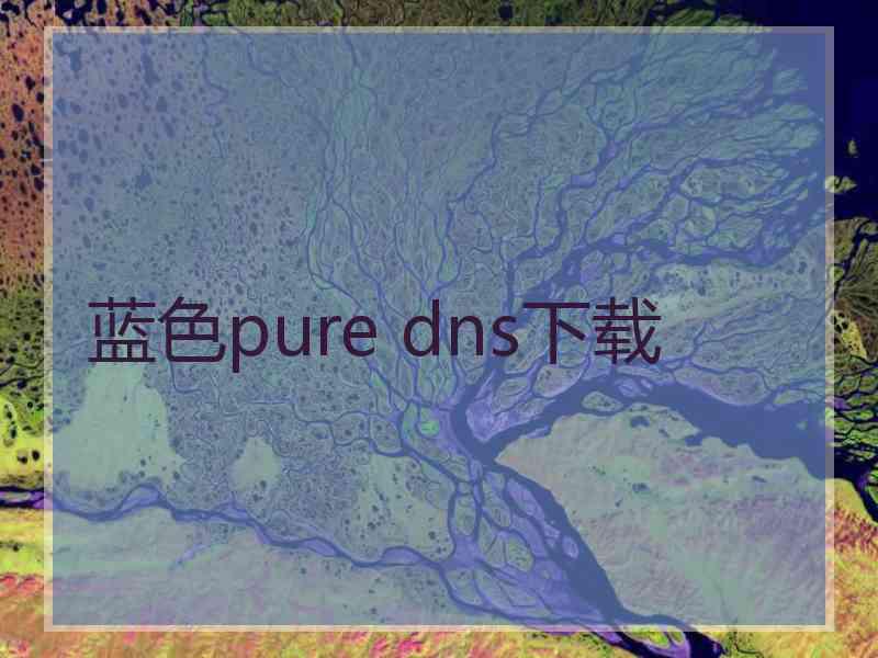 蓝色pure dns下载