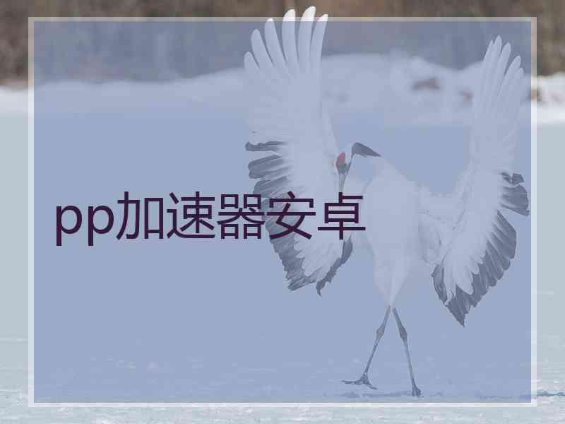 pp加速器安卓