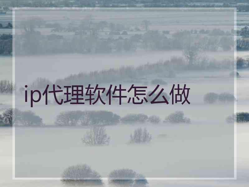ip代理软件怎么做
