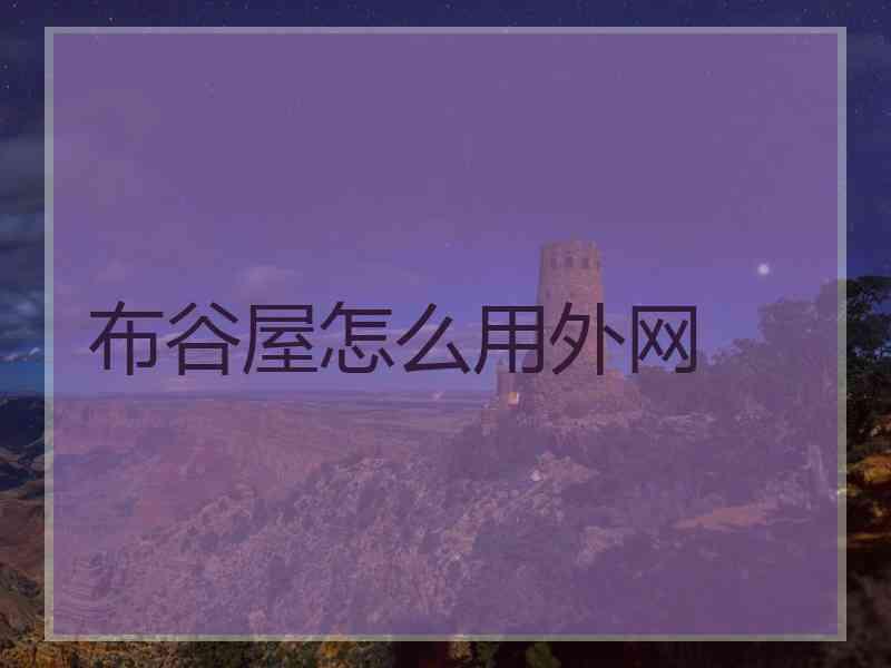 布谷屋怎么用外网