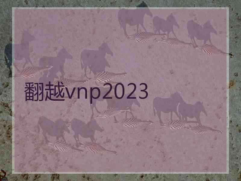 翻越vnp2023