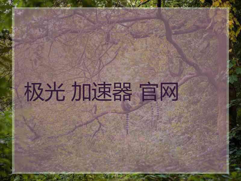 极光 加速器 官网