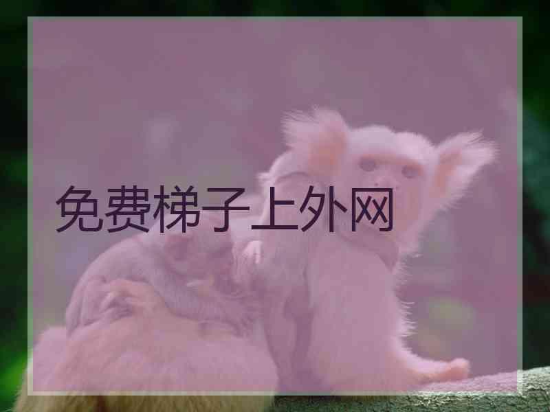 免费梯子上外网