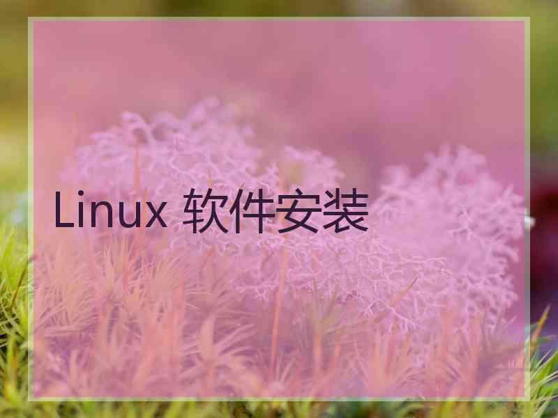 Linux 软件安装