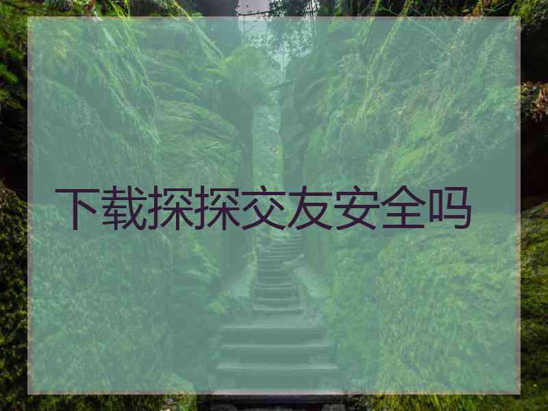 下载探探交友安全吗