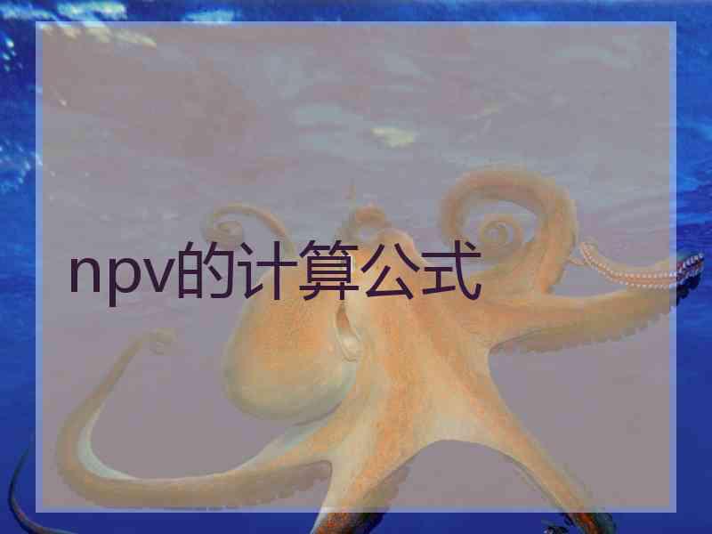 npv的计算公式