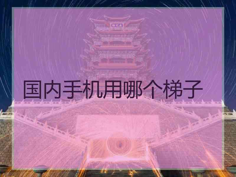 国内手机用哪个梯子