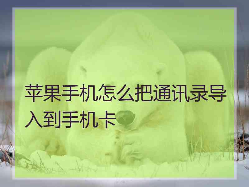 苹果手机怎么把通讯录导入到手机卡