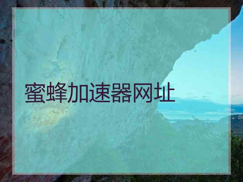 蜜蜂加速器网址