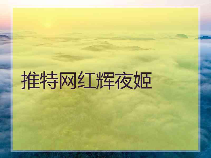推特网红辉夜姬