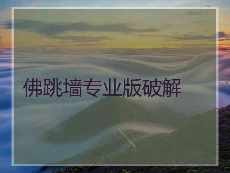 佛跳墙专业版破解