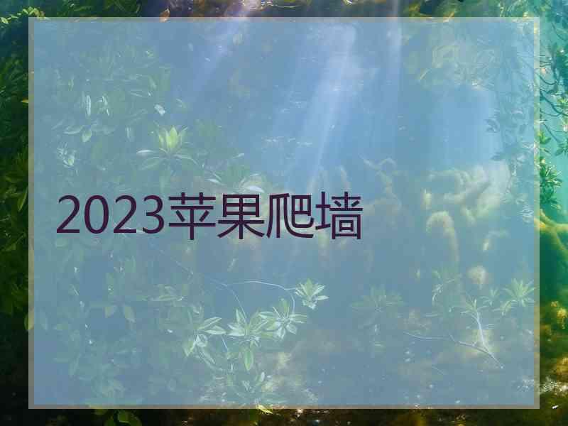 2023苹果爬墙