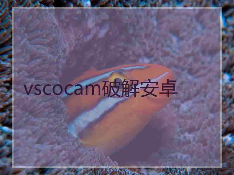 vscocam破解安卓