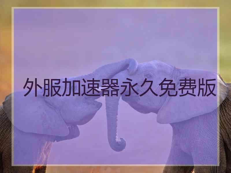 外服加速器永久免费版