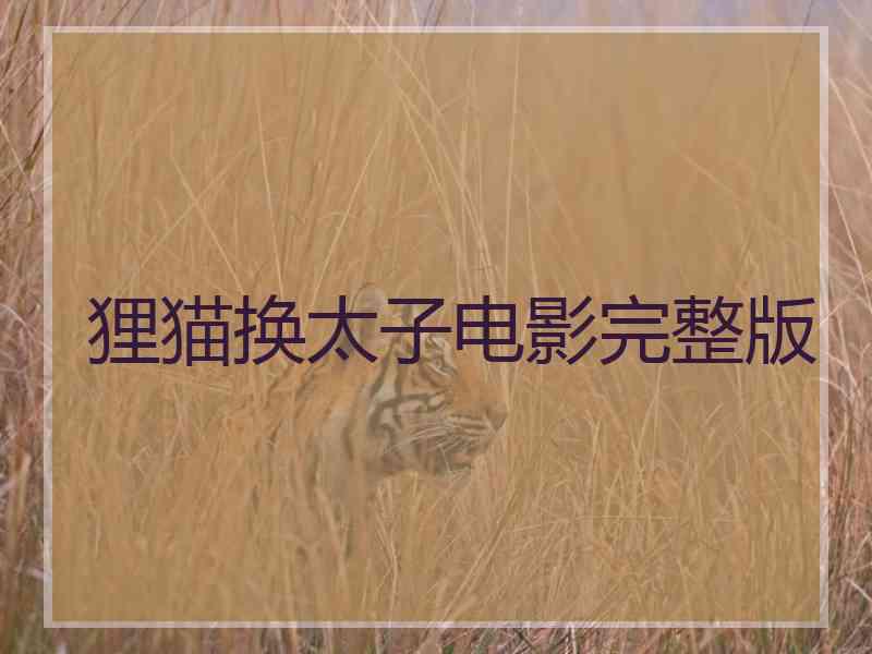 狸猫换太子电影完整版
