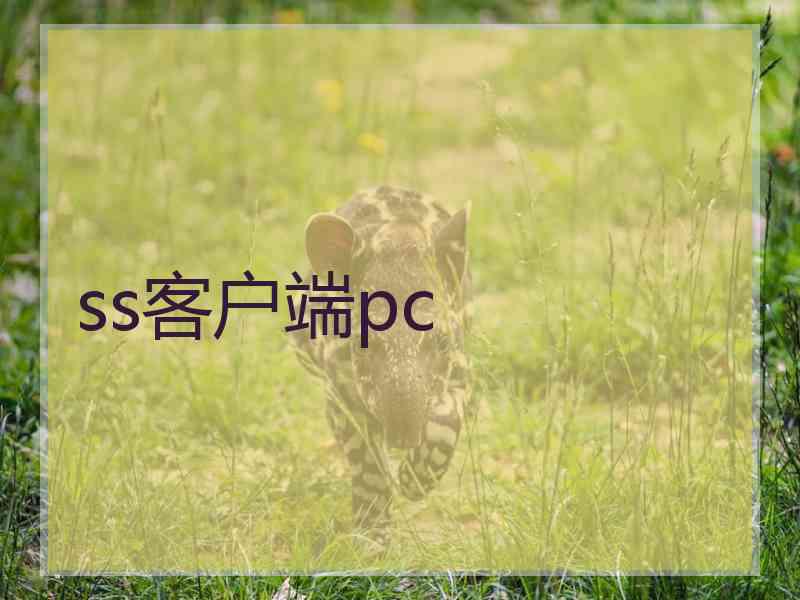 ss客户端pc