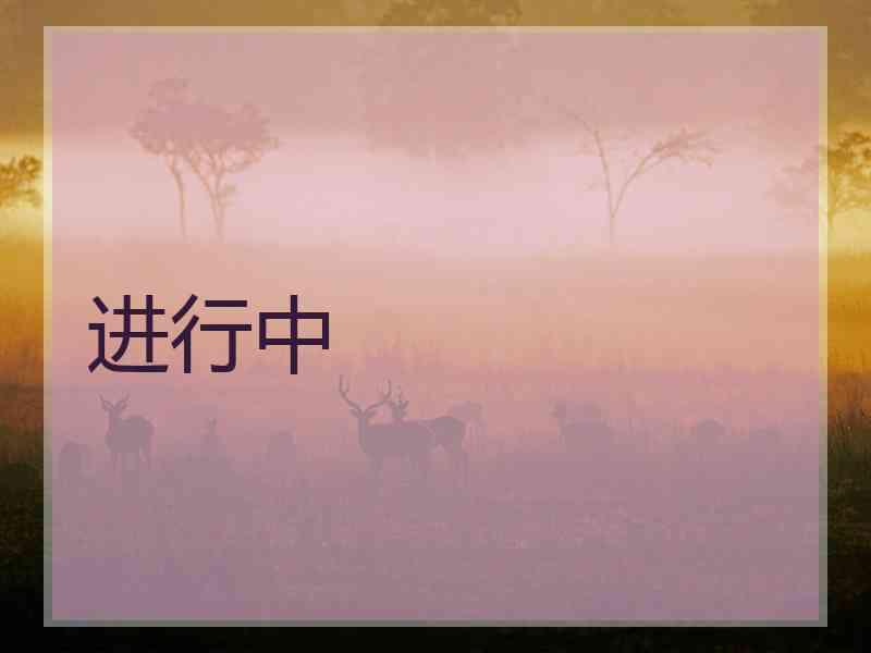 进行中