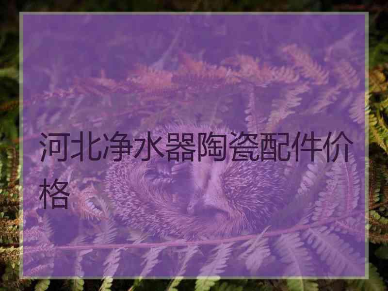 河北净水器陶瓷配件价格