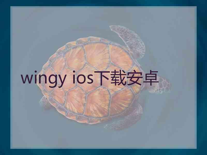 wingy ios下载安卓